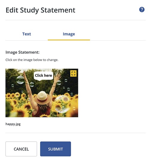 edit-statement-image-click
