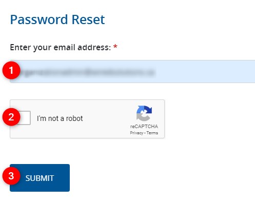 password-reset-form